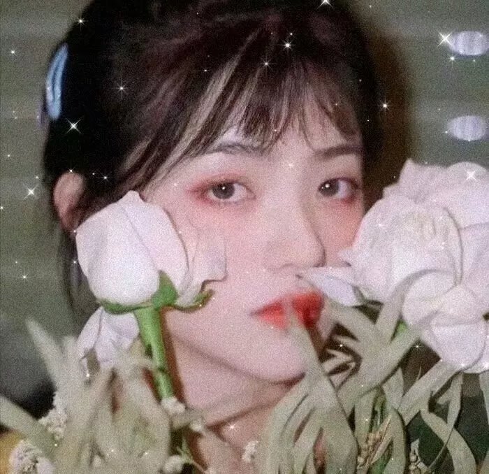 康熙微服私访记4